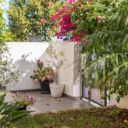 Bed and breakfast Do Papagaio Palmela