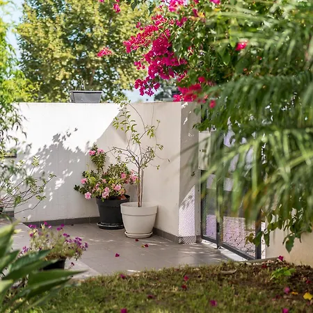 Bed & Breakfast Do Papagaio Palmela
